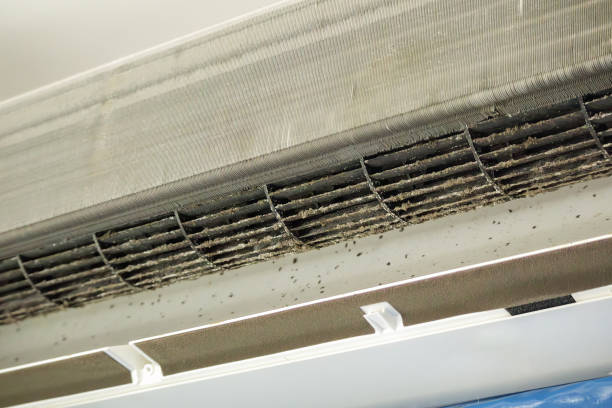 Best Best Air Duct Cleaning Company  in Double Oak, TX